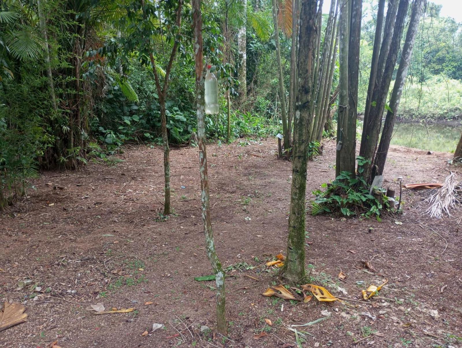 Camping Monte Hermom Ubatuba Ngoại thất bức ảnh